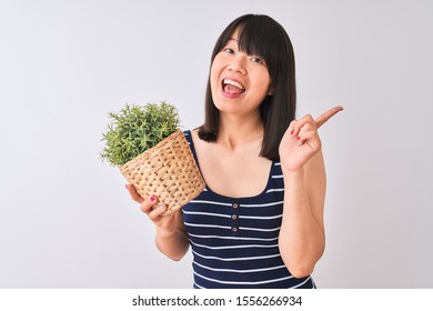 Young Beautiful Chinese Woman Holding Plant Pot Standing Over Isolated White Background Very Happy Pointing With Hand And Finger To The Side