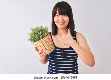 Young Beautiful Chinese Woman Holding Plant Pot Standing Over Isolated White Background Happy With Big Smile Doing Ok Sign, Thumb Up With Fingers, Excellent Sign