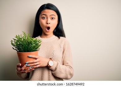 Young Beautiful Chinese Woman Holding Plant Pot Standing Over Isolated White Background Scared In Shock With A Surprise Face, Afraid And Excited With Fear Expression