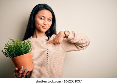 Young Beautiful Chinese Woman Holding Plant Pot Standing Over Isolated White Background With Surprise Face Pointing Finger To Himself