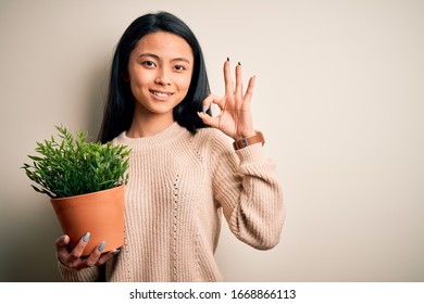 Young Beautiful Chinese Woman Holding Plant Pot Standing Over Isolated White Background Doing Ok Sign With Fingers, Excellent Symbol