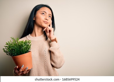 Young Beautiful Chinese Woman Holding Plant Pot Standing Over Isolated White Background Serious Face Thinking About Question, Very Confused Idea