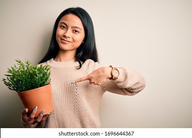 Young Beautiful Chinese Woman Holding Plant Pot Standing Over Isolated White Background Very Happy Pointing With Hand And Finger