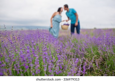 Young Beautiful Couple Harvesting Lavender Flowers In France