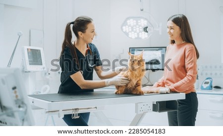 Young Beautiful Female Holding Pet at Doctor's Appointment at a Modern Veterinary Clinic. Red Maine Coon Stands on Examination Table While Female Vet Inspects the Cat