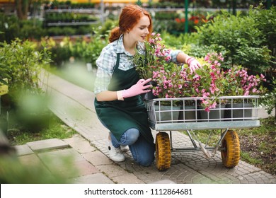 Young beautiful florist in apron and pink gloves dreamily working with flowers in garden cart in greenhouse - Powered by Shutterstock