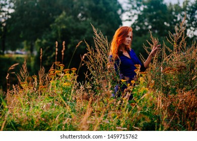 Young beautiful girl in a blue dress is standing in the field. A girl with red hair is standing in the grass in a park in the summer, behind her is a blurred background of a summer park.  - Shutterstock ID 1459715762