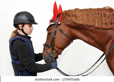 Young Beautiful Girl In A Jockey Outfit With Her Horse In Stable.