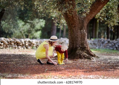 Young beautiful girl and little child picking olive. Happy female farmer and her little helper working in olive grove in Italy. - Powered by Shutterstock