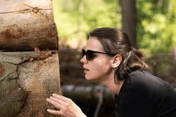 A Young Beautiful Girl In Sunglasses Looks With Surprise At The Freshly Cut Tree Trunks