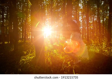 Young beautiful girl walking in forest and sun looking as star shining through the tree trunks. Model posing in the park in a summer evening during sunset