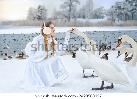 A young beautiful girl in white clothes and a white fur coat feeds white swans on a lake in winter against the backdrop of a snow-covered forest. Fairytale picture.