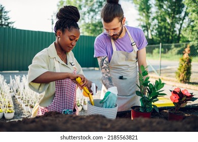 A Young Beautiful Multiracial Couple Of Colleagues Transplanting Plants And Taking Care Of Flower Pots In A Greenhouse. The Concept Of Growing Plants. Diverse People Working Together. Copy Space.