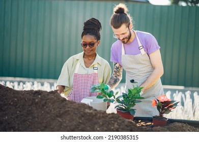 A Young Beautiful Multiracial Couple Of Colleagues Transplanting Plants And Taking Care Of Flower Pots In A Greenhouse. The Concept Of Growing Plants. Diverse People Working Together. Copy Space.