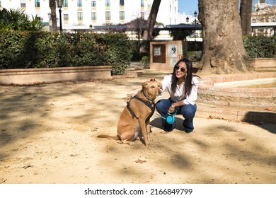 Young Beautiful South American Woman In White Shirt And Sunglasses, Bending Down, Petting Her Dog In A Park. Concept Animals, Dogs, Friends, Breed.