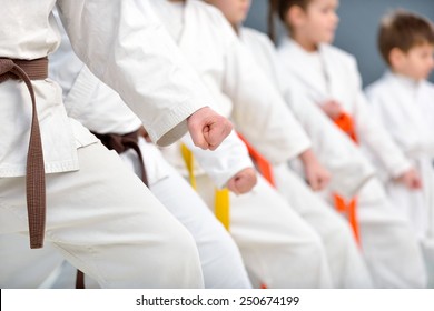 young, beautiful, successful multi ethical karate kids in karate position - Shutterstock ID 250674199