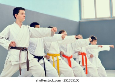 young, beautiful, successful multi ethical karate kids in karate position - Shutterstock ID 251835100