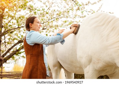 A young beautiful woman in a blue shirt cleans a white horse. Brush, grooming. love, care for animals. nature, spring, green grass. friendship wood forest - Powered by Shutterstock