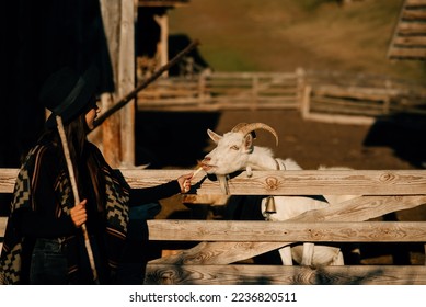A young beautiful woman feeds a goat behind a fence