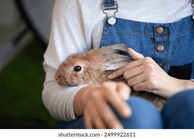 Young beautiful woman happy relaxing at home sitting at living room playing with her adorable fluffy bunny pet. Long hair Asian woman and cute rabbit animal bonding with love. Easter concept. - Powered by Shutterstock