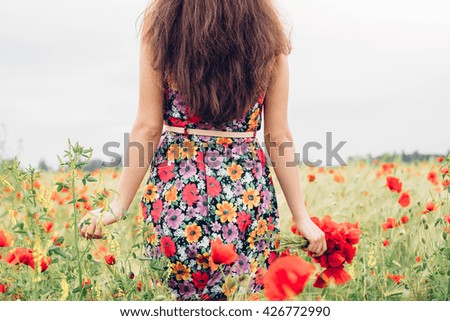 Similar – Image, Stock Photo Flowering poppy