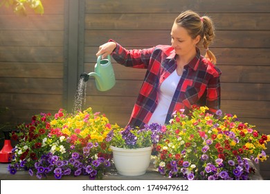 A young beautiful woman in her garden. She watered flowers, called "Milion Bells" (Calibrachoa elegans). Flower is different colors. - Powered by Shutterstock