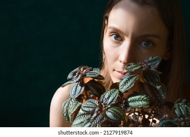 Young beautiful woman is holding home plants up to her face. She takes care of houseplants. Woman plant flowers. Flower fertilizer. The woman is a good housewife. The woman keeps the house clean.