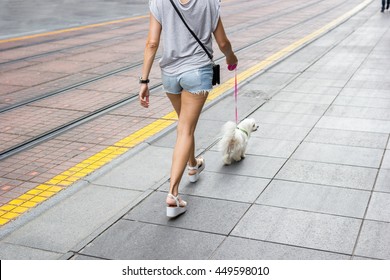 Young Beautiful Woman In Jeans Shorts Walking Down The Empty City Streets With Her Small White Dog On A Leash