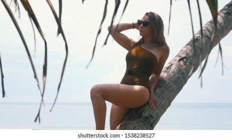 Young and beautiful woman leaned on a palm tree near the ocean