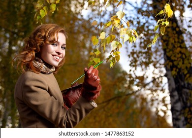 Color Palette Nature Stock Photos Images Photography Shutterstock