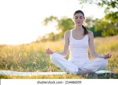 Young Beautiful Woman Practices Yoga on the Sunny Meadow. Active Lifestyle - Shutterstock ID 214486039