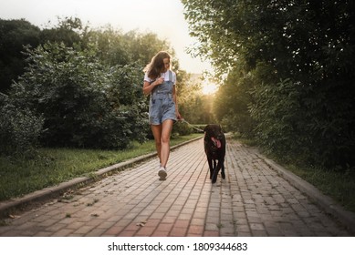 The Young Beautiful Woman Is Running With The Black Dog In The Park At Sunset