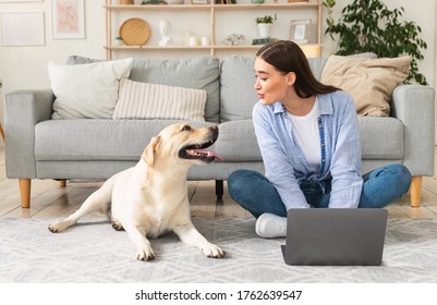 Young beautiful woman sitting on the floor working on laptop, looking at her dog, blowing him kisses, copy space