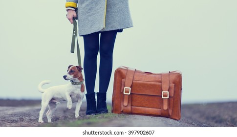 Young Beautiful Woman With Suitcase And Dog Standing On The Road