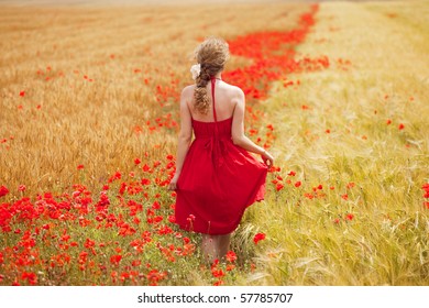 Young Beautiful Woman Walking Through A  Poppy Field In Summer