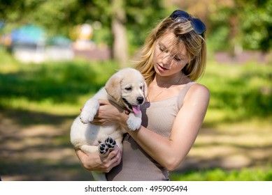 young beautiful woman with a white puppy labrador retrievers. dogs and woman. outdoor portrait. Beautiful woman playing with her dog.