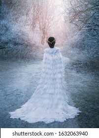young beauty silhouette woman Snow Queen walks. Art snowy photo. Winter white landscape cold farest trees covered frozen frost. Lady turned away, back train. Creative royal clothes birds feathers cape