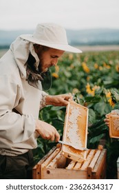 Young beekeepers work with bees in the apiary and eat honey