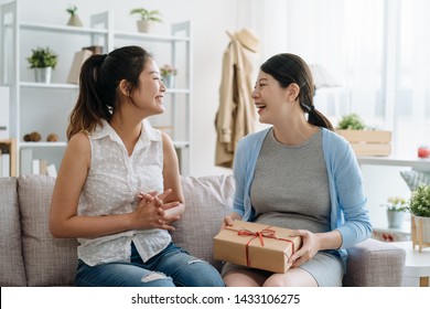 Young Best Female Friend Visit Bestie Giving Gift Box Cardboard To Pregnant Woman Sitting On Sofa Couch. Happy Mother In Living Room At Home. Pregnancy And Motherhood Expect Baby Friendship Concept.