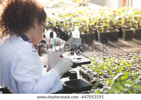 Young biologist looking at microscope with seedlings around her in greenhouse. Microbiology, biotechnology and bioengineering concept