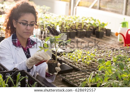 Young biologist pouring liquid chemicals in flower pot with sprout in greenhouse. Plant protection and biotechnology concept