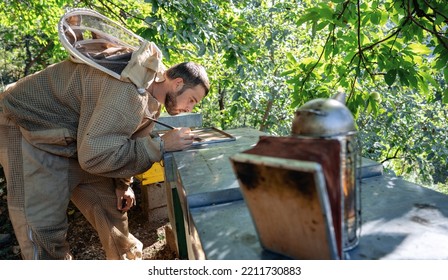 Young Biologist Student Checking Parasites On Hives To Studying  A Bio Natural Solution  