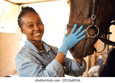 A young Black African woman veterinarian checking the condition and the health of a horse. She is wearing a blue button up shirt and a blue jeans as well as blue surgical gloves and a stethoscope - Powered by Shutterstock