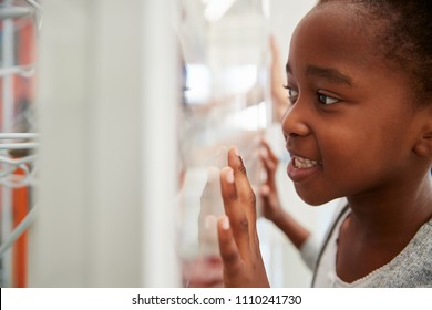 Young Black Girl Looking Closely At A Science Exhibit