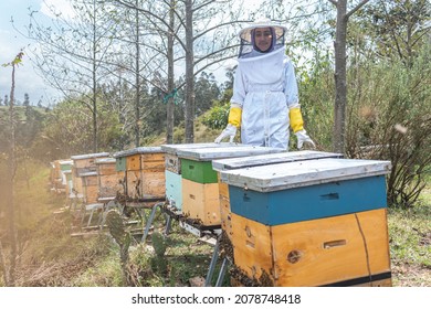 Young Black Woman Beekeeper In Protective Suit In Field With Honeycombs