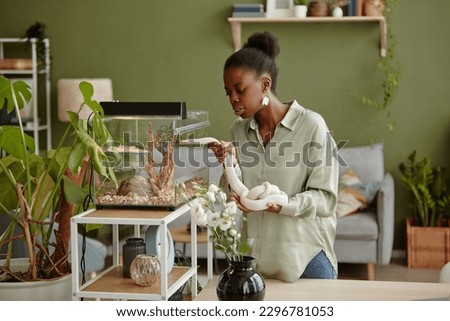 Young black woman in quiet luxury attire taking care of white exotic pet while standing by transparent glass terrarium in home environment