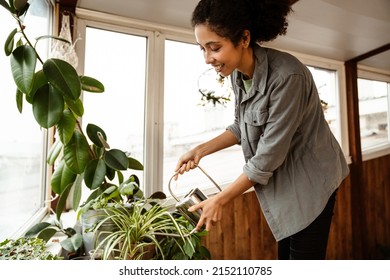 Young Black Woman Wearing Shirt Watering Plants By Window In Home