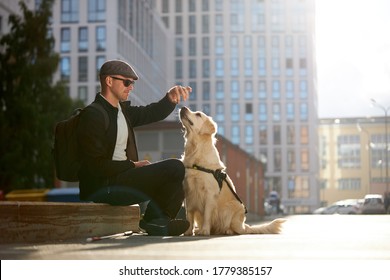 Young Blind Man Training Guide Dog, Giving Obedience Commands, The Walk Together In Big City