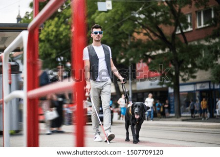 Similar – Image, Stock Photo Man with dog Town