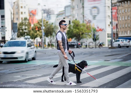 Similar – Image, Stock Photo Man with dog Town